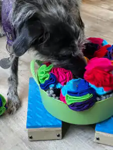Dog focusing on enrichment tasks during calm training in Hitchin
