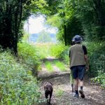 Dog owner walking calmly alongside their adolescent dog on a loose lead